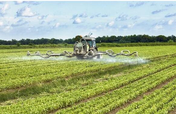 <a href=http://fliange.cn/mcy/ target=_blank class=infotextkey>木醋液</a>